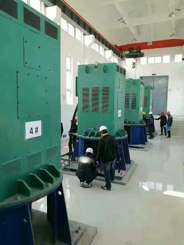 Y6302-8某污水处理厂使用我厂的立式高压电机安装现场