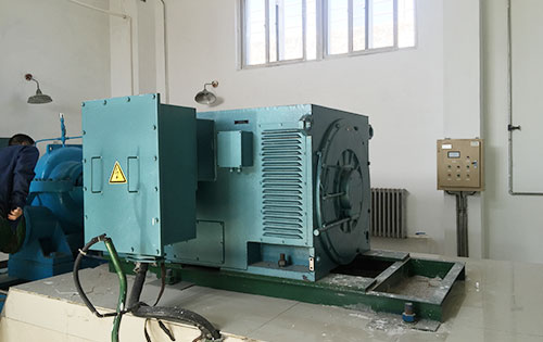 Y6302-8某水电站工程主水泵使用我公司高压电机一年质保