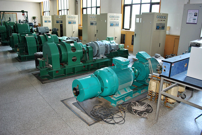Y6302-8某热电厂使用我厂的YKK高压电机提供动力