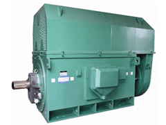 Y6302-8YKK系列高压电机