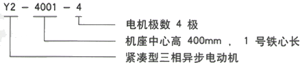 YR系列(H355-1000)高压Y6302-8三相异步电机西安西玛电机型号说明